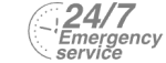 24/7 Emergency Service Pest Control in Waterloo, SE1. Call Now! 020 8166 9746