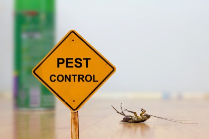 Pest Contol in Waterloo, SE1. Call Now 020 8166 9746